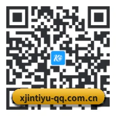 安卓掌上数据终端 二维码